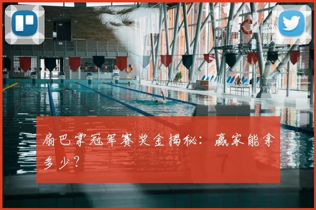 扇巴掌冠军赛奖金揭秘:赢家能拿多少?