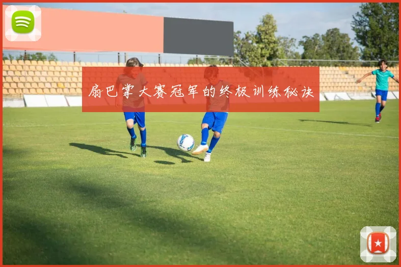 扇巴掌大赛冠军的终极训练秘诀