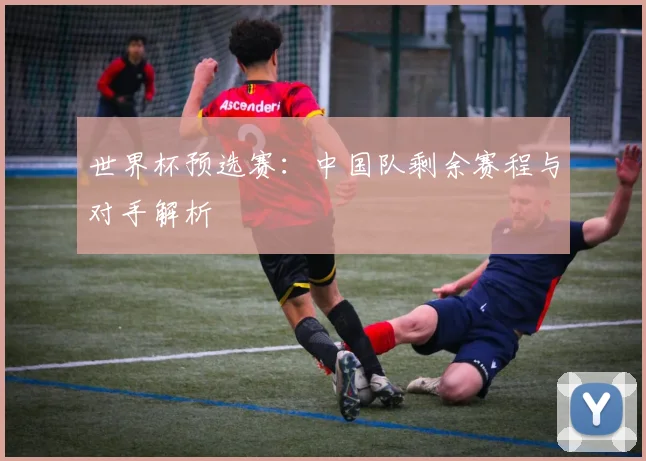 世界杯预选赛：中国队剩余赛程与对手解析