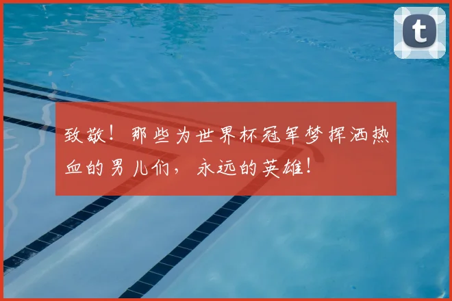 致敬!那些为世界杯冠军梦挥洒热血的男儿们,永远的英雄!