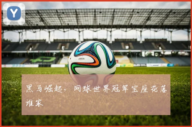 黑马崛起,网球世界冠军宝座花落谁家