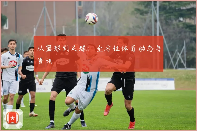 从篮球到足球:全方位体育动态与资讯