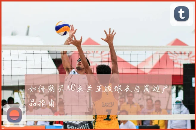 如何购买AC米兰正版球衣与周边产品指南
