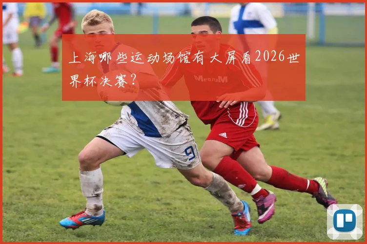 上海哪些运动场馆有大屏看2026世界杯决赛?