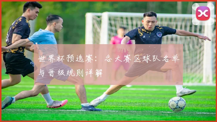 世界杯预选赛：各大赛区球队名单与晋级规则详解